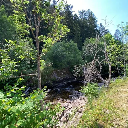 Charming 55m Near Hiking Trails * Gerardmer