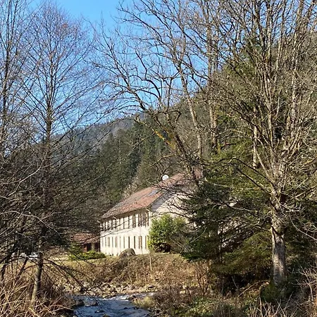 Charming 55m Near Hiking Trails Gerardmer