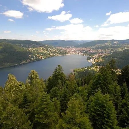 Charming 55m Near Hiking Trails Apartment *