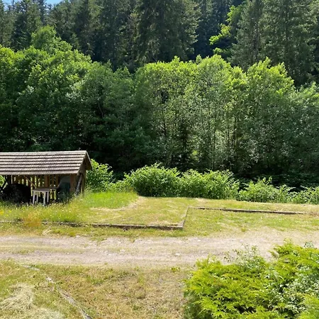 Charming 55m Near Hiking Trails *