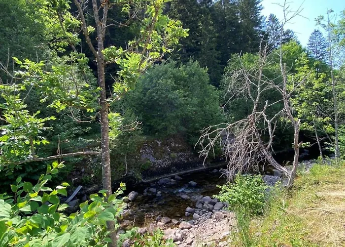 Charming 55m Near Hiking Trails * Gérardmer