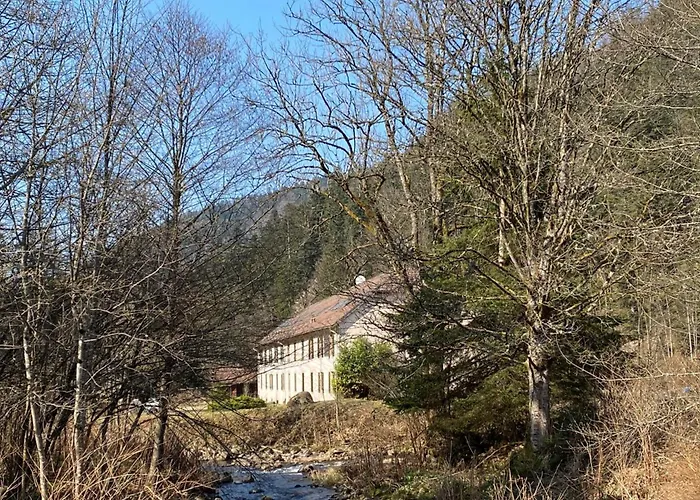 Charming 55m Near Hiking Trails Gérardmer