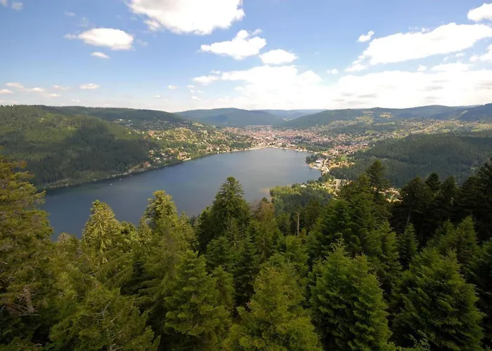 Charming 55m Near Hiking Trails Apartmán *